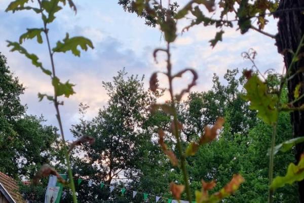 20230721_203729_20250224084420