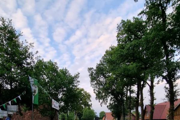 20230721_203839_20250224084430