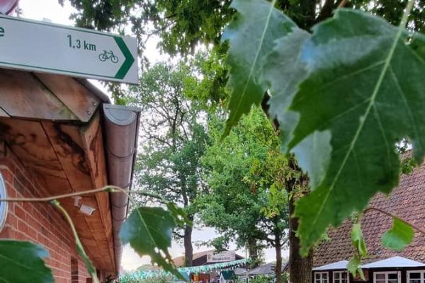 20230721_203859_20250224084433