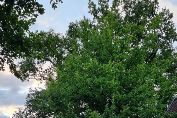 20230721_203913_20250224084435